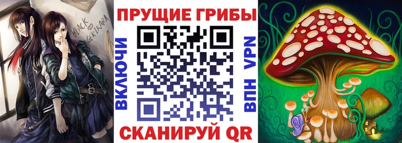 Псилоцибиновые грибы прущие грибы наркота Хабаровск